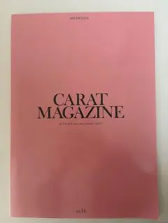 CARAT MAGAZINE vol.14 SEVENTEEN