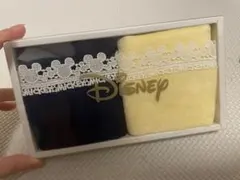 近沢レース　ディズニー ミッキーマウス タオル 2枚セット