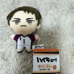 ハイキュー！！ みにコレ mini ぬいぐるみ 牛島若利