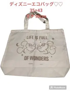 ♡♡即日発送、新品未使用♡♡ディズニーエコバッグ 折りたたんでコンパクト♡♡