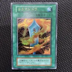 ☆SHOPうまくだり☆様 リクエスト 2点 まとめ商品