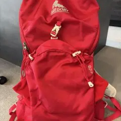 GREGORY J28 バックパック レッド