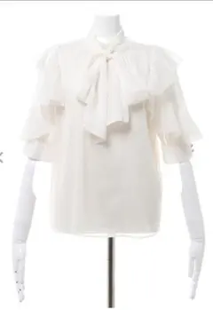 お値下げ中‼️ 袖フリルラメシアー5分袖ブラウス
