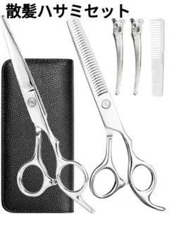 Item thumbnail for item f6edf1ba-cd95-4caf-9fde-c801a7e8e4bd