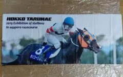 非売品】JRA 競馬 ホッコータルマエ クリアファイル キャップ セット