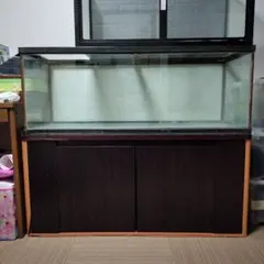 未使用】 水槽 アクアデザインアマノ(ADA) 定価約12万円 - メルカリ