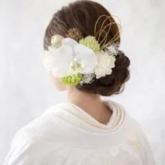 胡蝶蘭髪飾り ドライフラワーヘア飾り 和装 成人式振袖 結婚式 卒業式袴 水引き