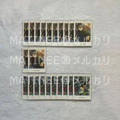 あんスタ ぱしゃっつ 瀬名泉