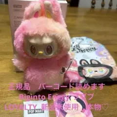 正規品　Bic into Energyラブブビッグイントゥエナジー ラブブ