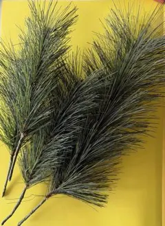 Item thumbnail for item 29252310-ff2e-4b7b-84d4-07f9a06b450b