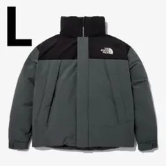 Ｌ日本未発売ノースフェイスグレーブラック灰黒ネルトンダウンジャケット