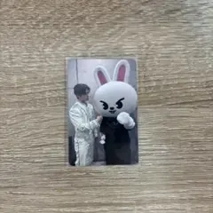 StrayKids エコパ 円盤 リノ 両面トレカのサムネイル