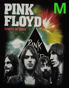 ピンク・フロイド PINK FLOYD メンバー バンドTシャツ(M)タ36のサムネイル