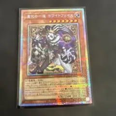 2026年最新】道化の一座ホワイトフェイス プリズマの人気アイテム
