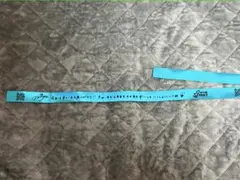 Item thumbnail for item 33ee8846-eda7-48b8-8ca8-9fa0ba16fb5a