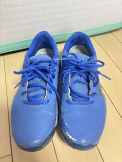 Item thumbnail for item 24393167-ddad-4dea-a71b-5a91c7624659