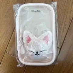 SKZOO StrayKids　フォクシニー　アクスタケース　アイエン