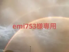 emi753様専用ページ