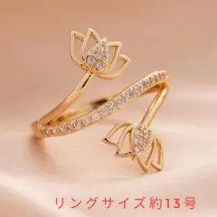 Item thumbnail for item a5a21101-c5da-41ab-b086-ad2a98009bf0