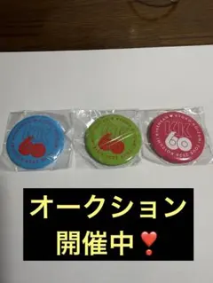 小泉今日子 缶バッジ セットKK60 武道館 全種類 21種類 専用コイン1枚