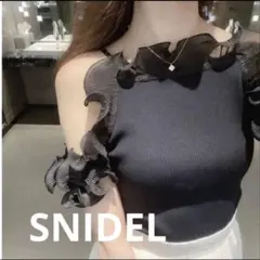 SNIDEL Sustainableプリーツフリルドッキングニットのサムネイル