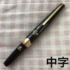 2026年最新】PLATINUM 万年筆 14Kの人気アイテム - メルカリ