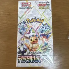 ポケモンカードゲーム　テラスタルフェスex シュリンク付き　ポケカ