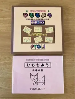 はまキッズ☆PYGMALION ピグマリオン 知育玩具 教材セット 新品あり