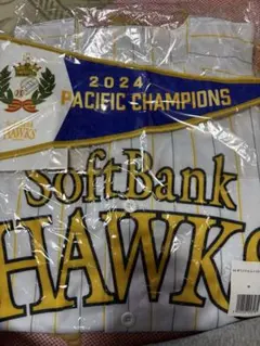 Item thumbnail for item 37e6d4b1-4489-47c7-90ca-5765ab1f15f0