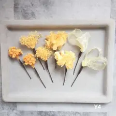 ❰Y4❱成人式　卒業式　七五三　ヘアメ　発表会　イエロー髪飾り　ドライフラワー