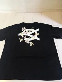 Item thumbnail for item 2a5cb9c4-38fb-4b00-a228-162b95a94ace