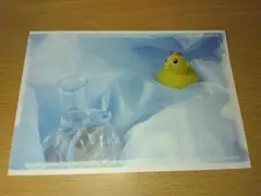 [匿名配送]　美しい彼　映画入場特典ポストカード