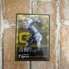 横浜DeNAベイスターズ 金城龍彦 直筆サイン色紙 - メルカリ