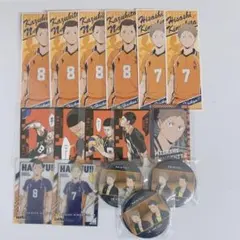ハイキュー 木下 成田 16点セット