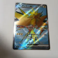 デカ猫様 リクエスト 2点 まとめ商品