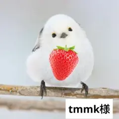 tmmk様 リクエスト 2点 まとめ商品