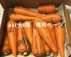 徳島県産 春人参 規格外 訳あり 10㌔未満箱込み - メルカリ