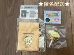 未使用　バネ口ミニポーチキーチェーン　キャンディポップキーホルダー　プリン