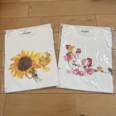 Item thumbnail for item 10723245-695a-42c6-a62d-ce9494d5e032