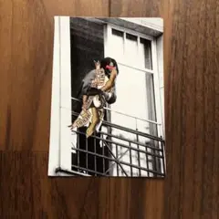SUPREME ANTIHERO BALCONY ステッカー
