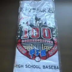 第100回 夏の甲子園 歴代優勝校 記念タオル 高校野球 - メルカリ