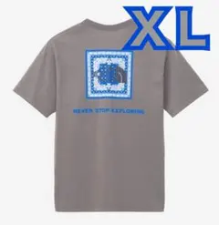 ノースフェイス バンダナスクエアロゴティー NT32446SP