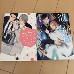 BL小説 かわいくしててね 渡海奈穂2冊セット