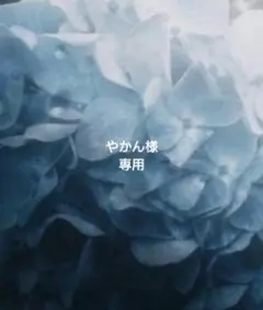 専用