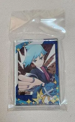 2026年最新】ポケモン ダイゴ アクリルの人気アイテム - メルカリ