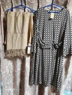 Item thumbnail for item 3c4e756b-1e0d-46ad-8523-530a9b27f796