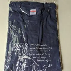 Item thumbnail for item eeda4d09-be73-402c-9ee7-58aa081d99ab