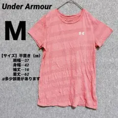 Item thumbnail for item 1e31717a-5b4c-4ae5-b2ca-5fb312dc0522