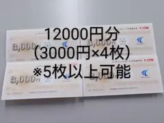 【はーびー様専用】ニッポンレンタカー優待券（3000円✕7枚）