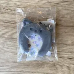 JOCHUM　ミニカチューシャキーホルダー　ピーハイ